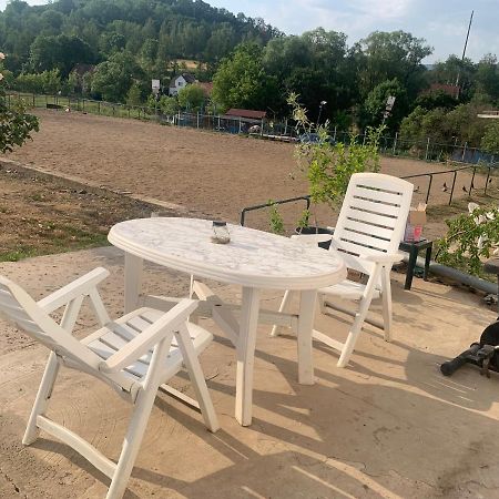 Ubytovani V Apartmanu, 2 Loznice, Na Farme Bzany Dış mekan fotoğraf