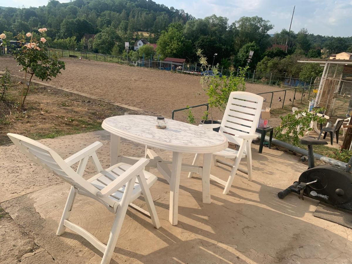 Ubytovani V Apartmanu, 2 Loznice, Na Farme Bzany Dış mekan fotoğraf